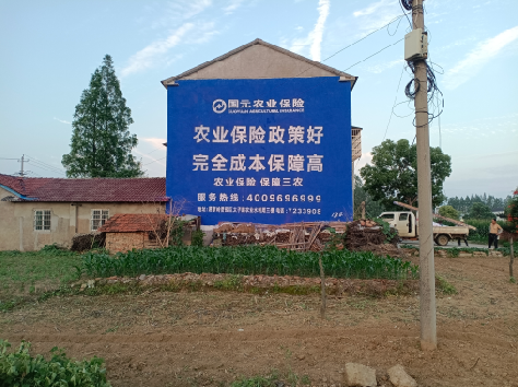 长丰墙体广告为何受追捧？