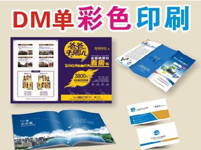 长丰单页印刷，色彩搭配简单。